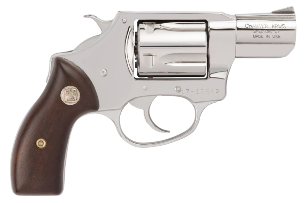 Charter Arms Undercover .38 Special 5-round 2" Revolver in High Polished Stainless Steel - 73829