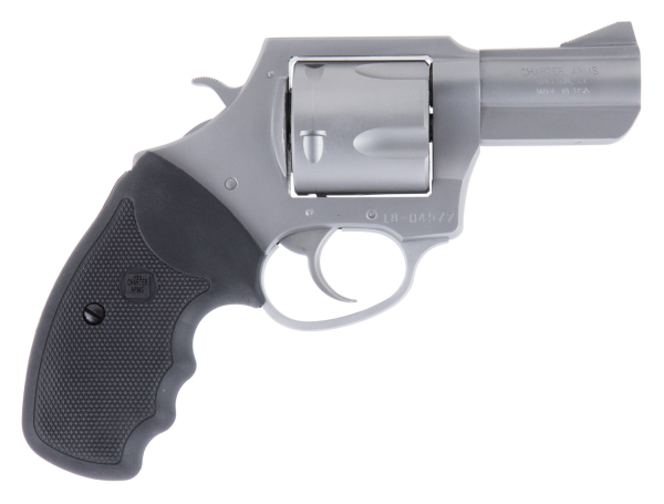 Charter Arms Bulldog XL .45 Long Colt 5-round 2.50" Revolver in Matte Stainless Steel - 74530