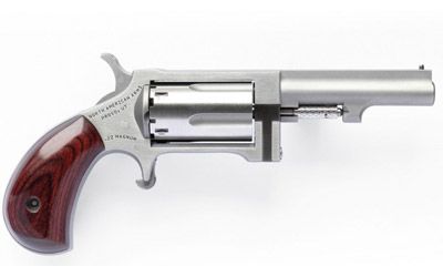 North American Arms Sidewinder .22 Winchester Magnum 5+1 2.5" Pistol in Stainless - SW250