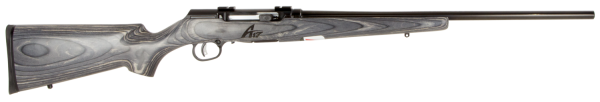 Savage Arms Sporter .17 HMR 10-Round 22" Semi-Automatic Rifle in Black - 47008