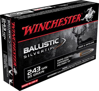 Winchester Supreme .243 Winchester Ballistic Silvertip, 95 Grain (20 Rounds) - SBST243A