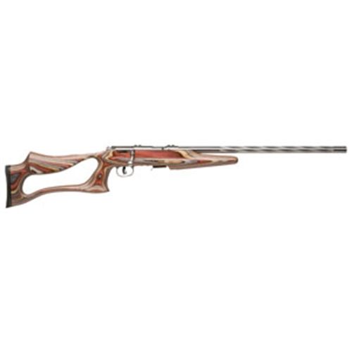 Savage Arms 93R17 BSEV .17 HMR 5-Round 21" Bolt Action Rifle in Matte Stainless - 96771