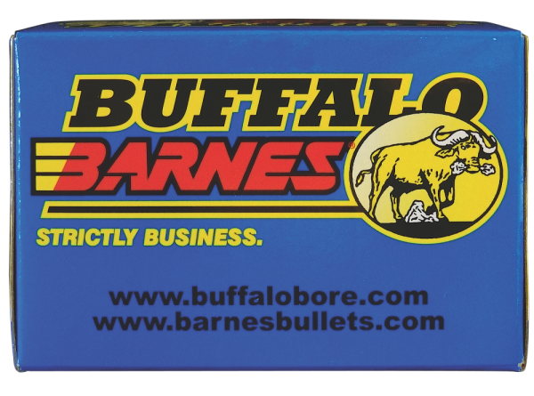 Buffalo Bore Ammunition .40 S&W Barnes TAC-XP, 125 Grain (20 Rounds) - 23D/20