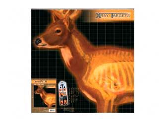 Champion Traps & Targets Deer X-ray Target, 25x25, 6 Pack 45902