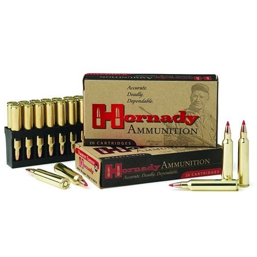 Hornady DGS .416 Ruger Dangerous Game Solid, 400 Grain (20 Rounds) - 82666