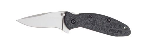 Kershaw Knives Scallion Assisted Folding Knife, 2.4" Clip-point 420Hc/Satin Plain Blade (Black Nylon Handle) - 1620
