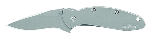 Kershaw Knives Scallion Assisted Folding Knife, 2.25" Drop-point 420Hc Stainless Partially Serrated Blade (410 Stainless Handle) - 1620FL