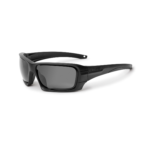Black Frame Rollbar Sunglasses