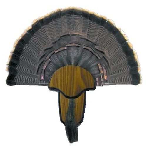 Hunters Specialties Turkey Tail/Beard Mounting Kit 00849