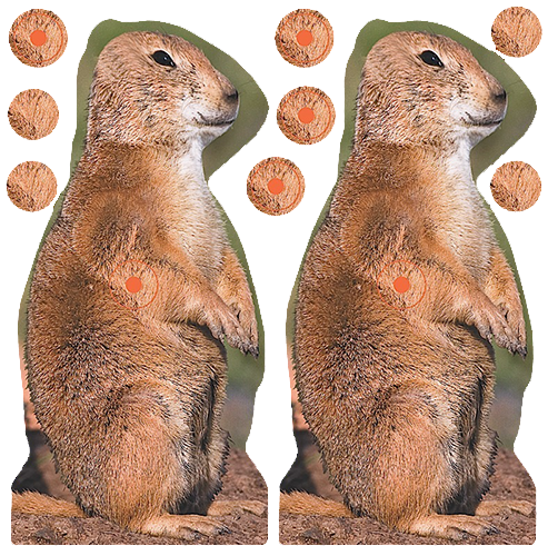 Birchwood Casey 34786 Shoot-N-C Reactive 12 8" Prairie Dog Illustration