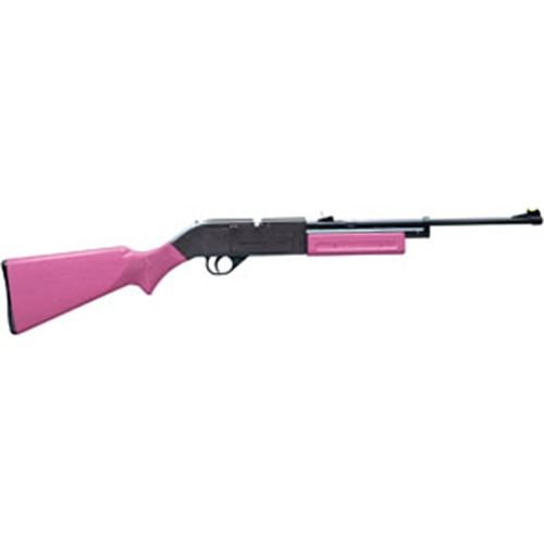 Crosman .177 BB Pump Rifle w/Pink Synthetic Stock 760P