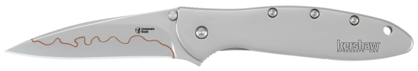 Kershaw Knives Leek Assisted Folding Knife, 3" Modified Drop-point D2 Steel/Sandvik 14C28N Steel Plain Blade (410 Stainless Handle) - 1660CB