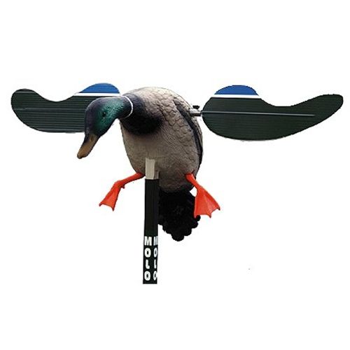 Mojo Baby Mallard Decoy with 6-Volt Rechargeable Battery and Charger HW4401
