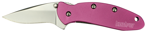 Kershaw Knives Chive Assisted Folding Knife, 1.94" Drop-point 418 Stainless Plain Blade (6061-T6 Anodized Aluminum Handle) - 1600PINK