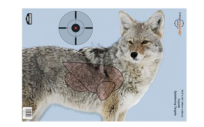 Birchwood Casey Pregame Target, Target With Visible Vitals, Coyote, 16.5x24, 3 Targets 35405