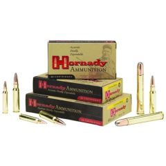 Hornady DGS .375 H&H Magnum Dangerous Game Solid, 300 Grain (20 Rounds) - 82322