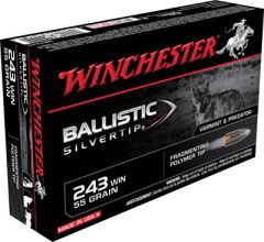 Winchester Supreme .243 Winchester Ballistic Silvertip, 55 Grain (20 Rounds) - SBST243