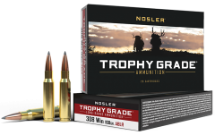 Nosler Bullets Trophy Grade .308 Winchester/7.62 NATO AccuBond Long Range, 168 Grain (20 Rounds) - 60101