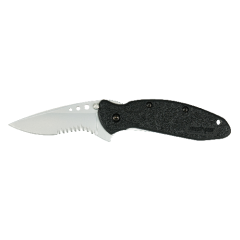 Kershaw Knives Scallion Assisted Folding Knife, 2.4" Drop-point Serrated Blade (Black Handle) - 1620ST