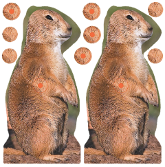Birchwood Casey 34786 Shoot-N-C Reactive 12 8" Prairie Dog Illustration