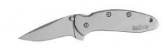 Kershaw Knives Chive Assisted Folding Knife, 1.9" Clip-point 420Hc/Satin Plain Blade (Satin 410 Stainless Handle) - 1600